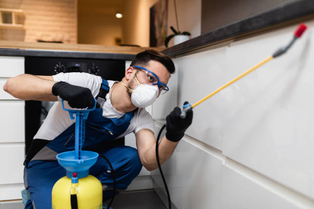 Reliable Watsonville, CA Pest Control Solutions