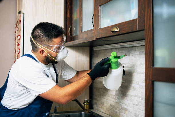 Best Commercial Pest Control Services  in Watsonville, CA