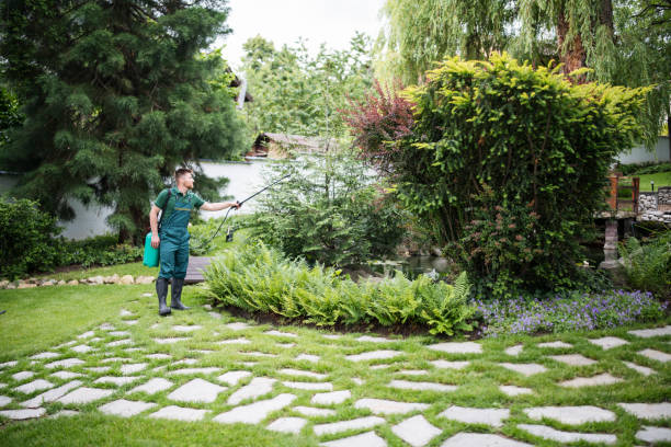 Best Best Pest Control Companies  in Watsonville, CA