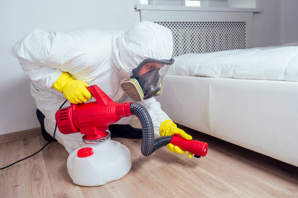Best Affordable Pest Control Services  in Watsonville, CA