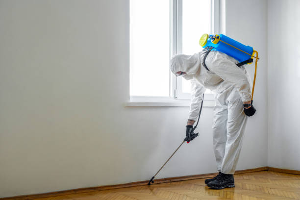 Best Wildlife Control Services  in Watsonville, CA