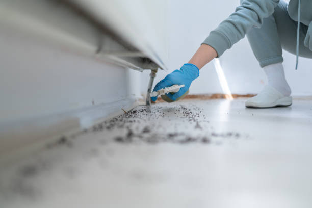 Best Mosquito Control Services  in Watsonville, CA