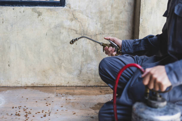 Best Affordable Pest Control Services  in Watsonville, CA